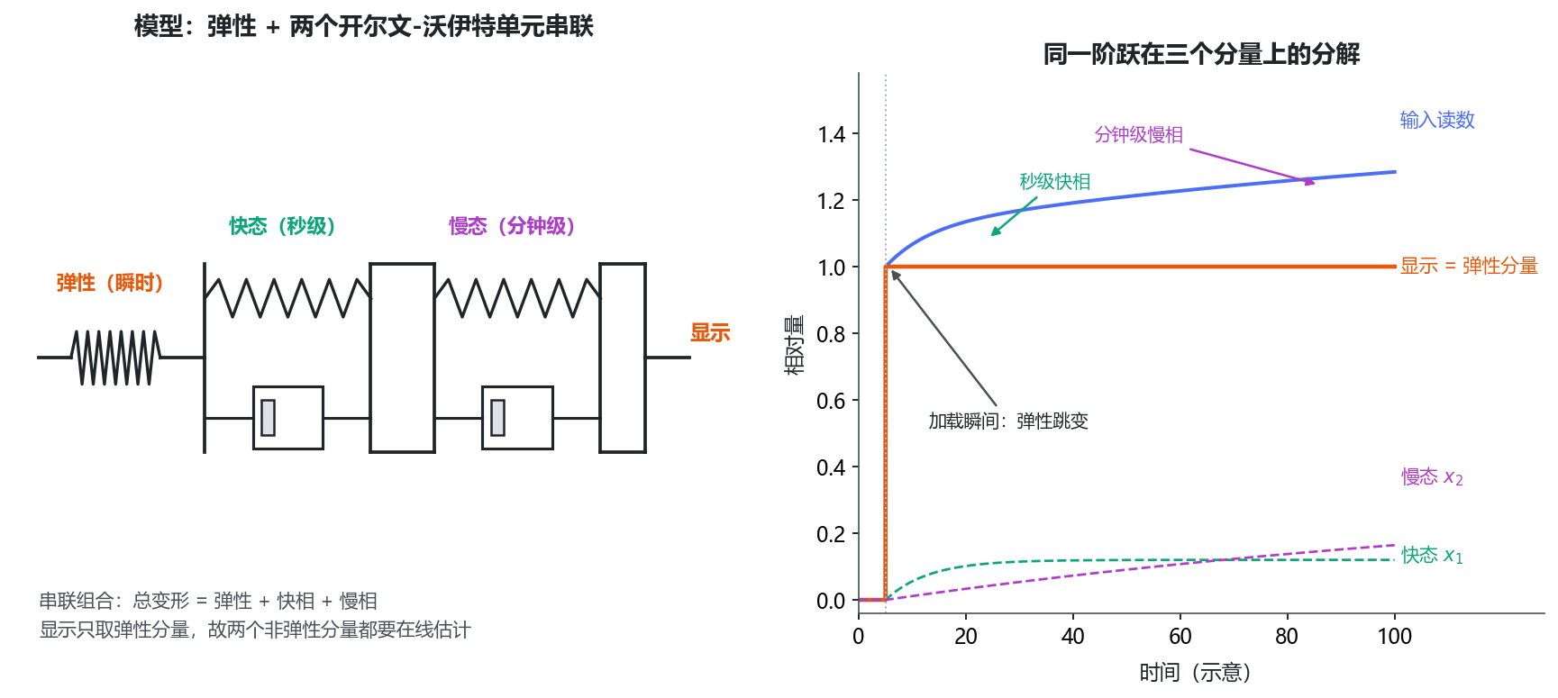 图 4 双态粘弹性模型与阶跃分解